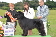 邑本宜嗣ブリーダー